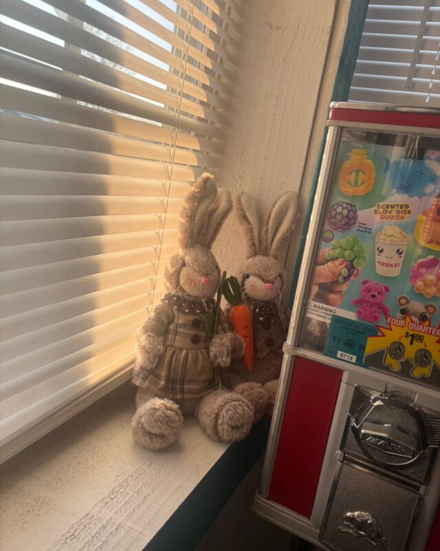 Mr. & Mrs. Cottontail have officially hopped into town and made their very first stop this morning 🐰💕

Think you can track them down? Here are your three clues:

☕ The smell of fresh coffee and home cooking fills the air
🍳 A place where mornings start and evenings slow down around the table
👨‍👩‍👧‍👦 A local favorite where friends and family gather to share a meal

Now it’s your turn to go find them!

When you do, snap a selfie and post it below with #Plainviewbunnyhunt2026 to be entered to win a prize.
Find them all six days and you’ll be entered for the GRAND prize!

Happy hunting y’all 💕