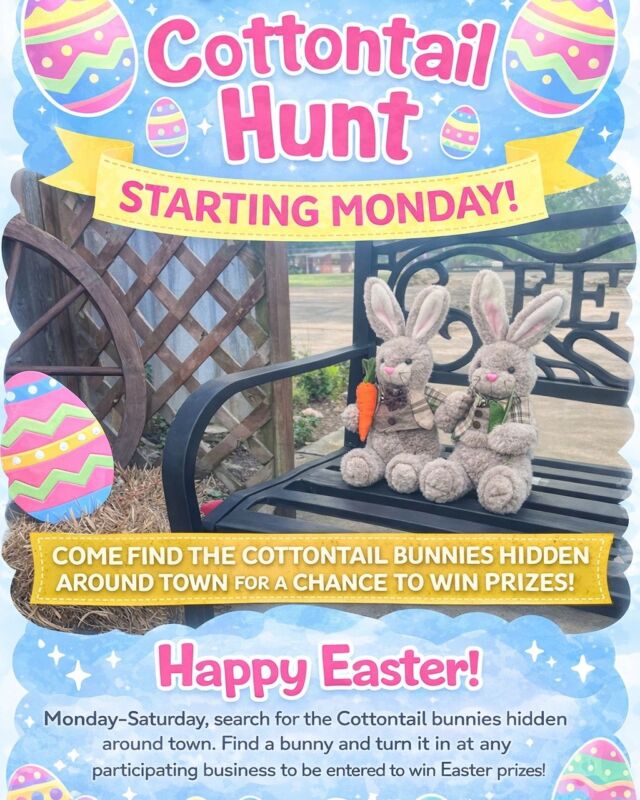 Guess who is hopping back into Plainview 👀🐰

The Cottontails are coming back to town this Monday, and we can’t wait to see what kind of adventures they get into this year. Be on the lookout around town… you never know where they might pop up next!

When you find one, snap a selfie and drop it in the comments to be entered to win a prize. If you find them all six days, you’ll be entered for the grand prize!

Good luck and happy hunting Plainview 💕